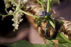 Wedding_Portfolio_113